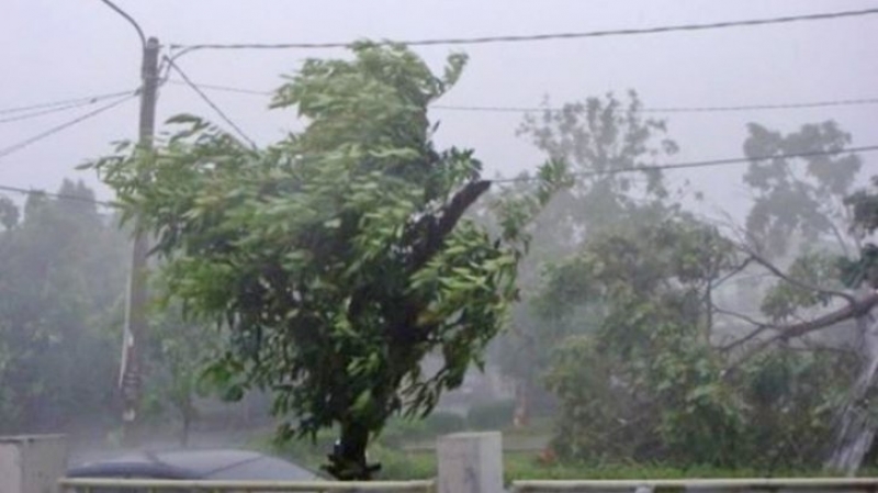 ANM a emis alerte Cod galben pentru ceață densă în partea de jos a județului Neamț și vânturi puternice în Gorj.