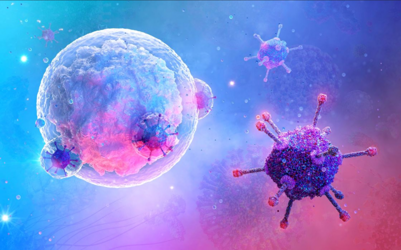 Puțini s-ar fi întrebat cât cântărește sistemul imunitar uman: cercetătorii ne oferă răspunsul precis.