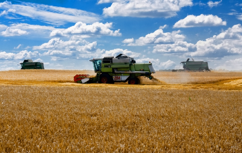 Conform Eurostat, valoarea producției agricole a crescut datorită exploziei prețurilor.