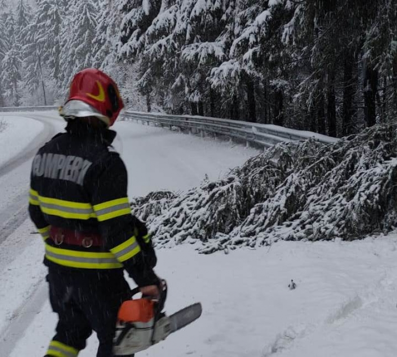Cod portocaliu de vreme rea în noiembrie - Iarna provoacă haos cu copaci căzuți și zăpadă pe drumuri