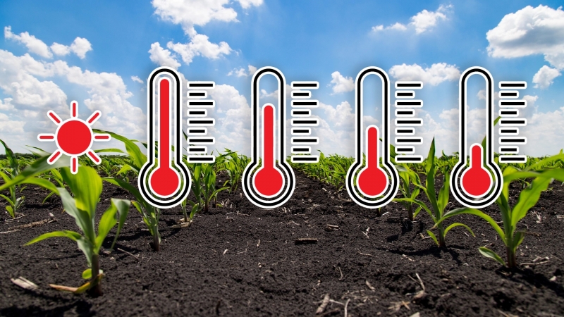 Agrometeo: Evolutia normala a proceselor vegetative pentru s...